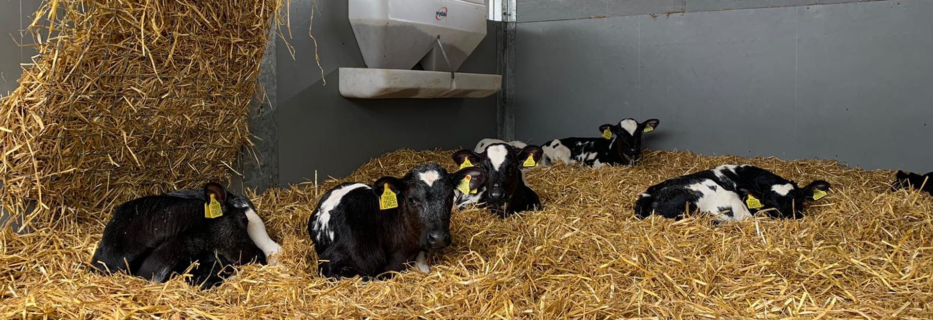 Не выделяет запахов