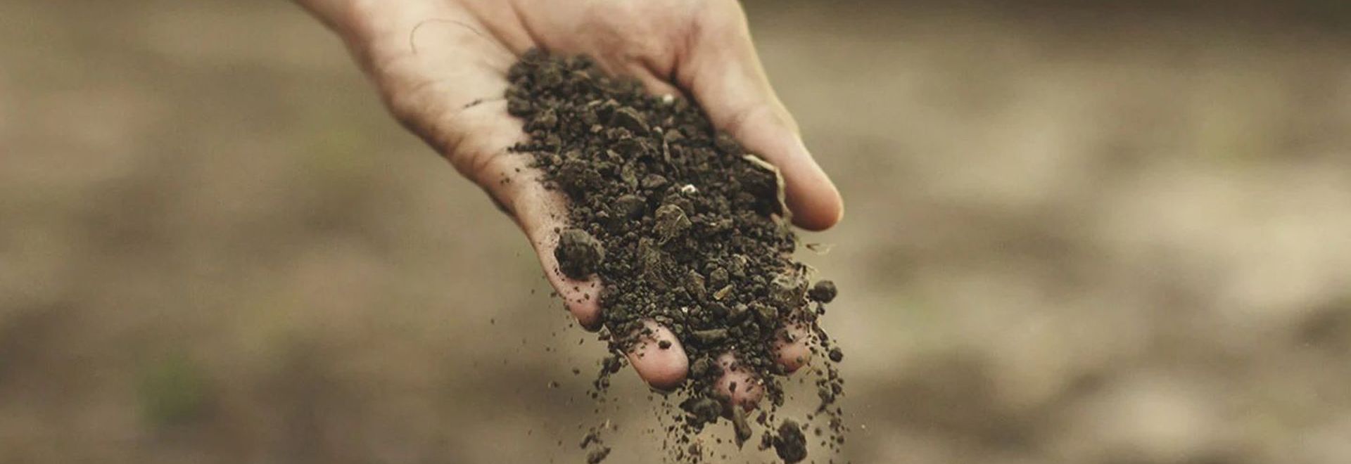 Из навоза до навоза — круговорот фосфора в природе