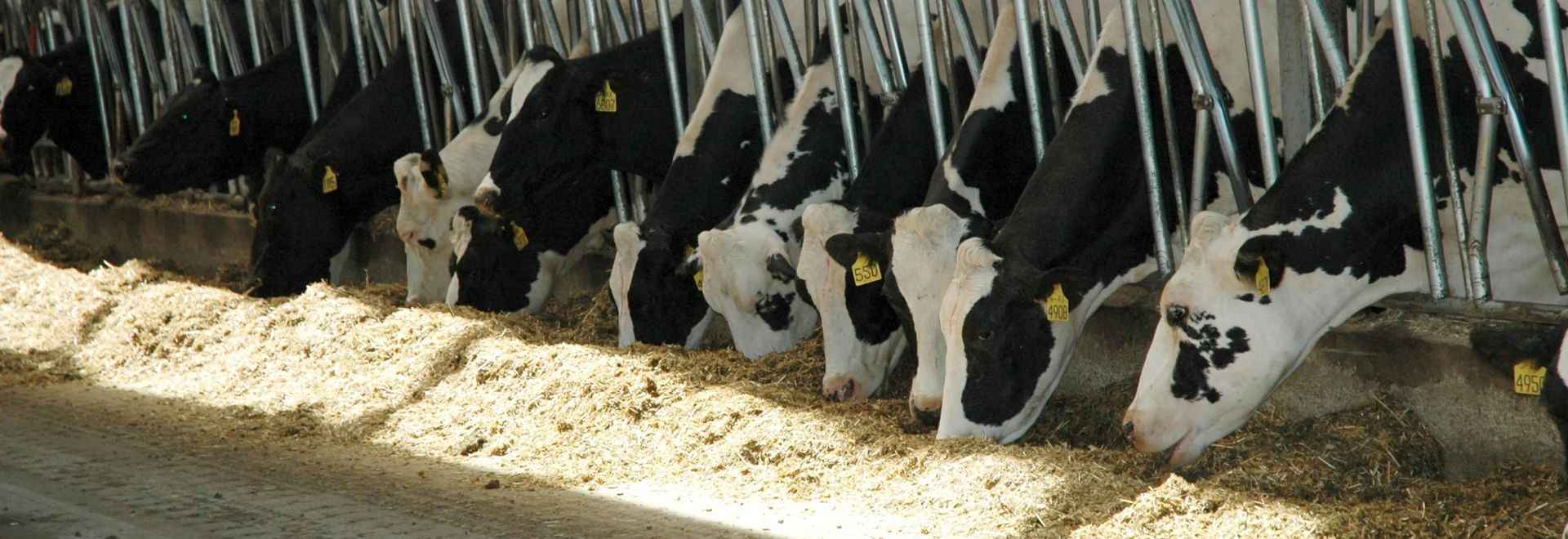 Пододвигатель кормов