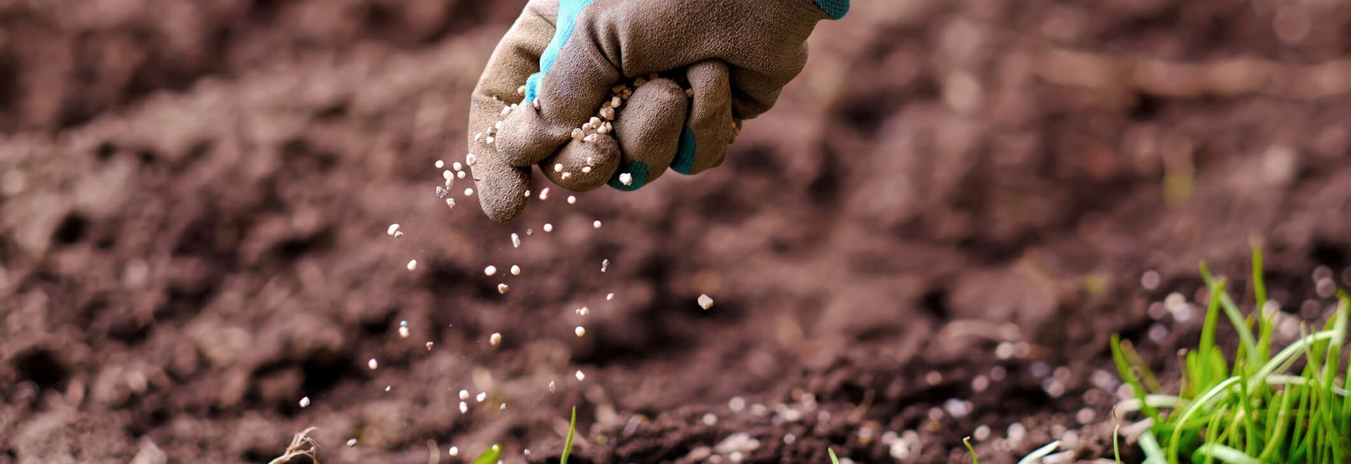 Не выделяет запахов