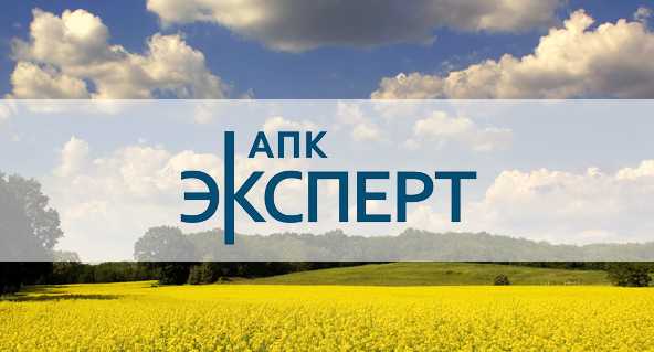 Российские импеллеры: точность изготовления и долгий срок службы