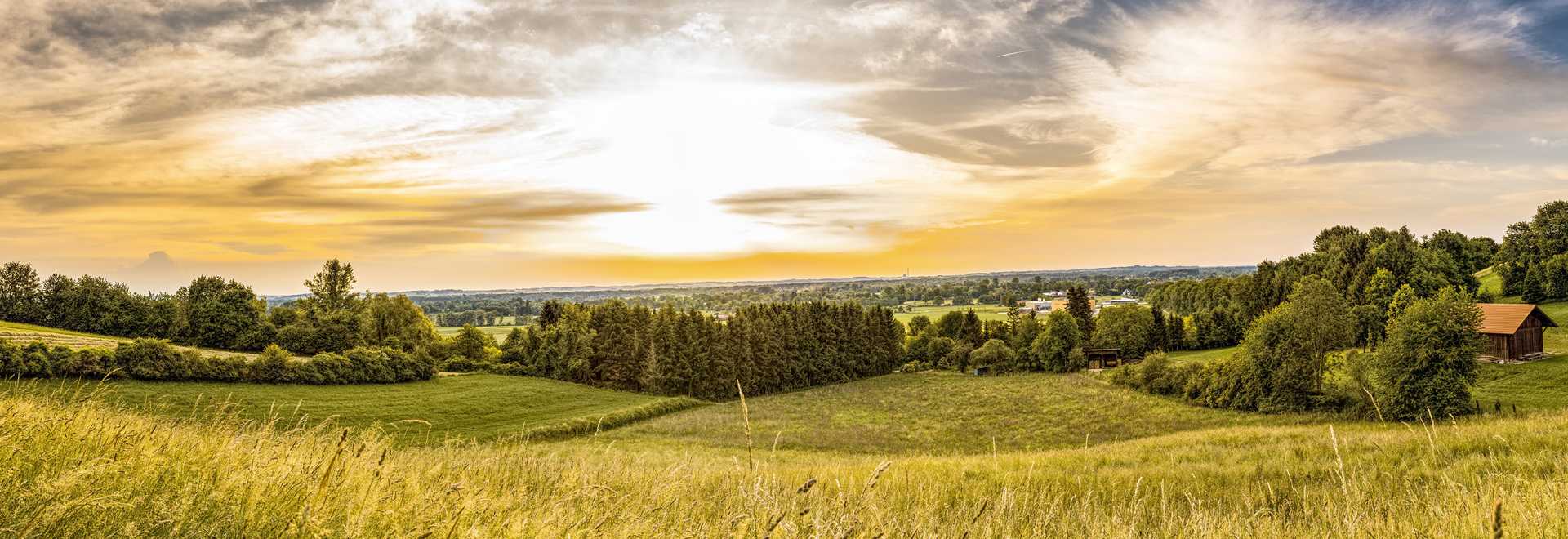 Агросалон 2022