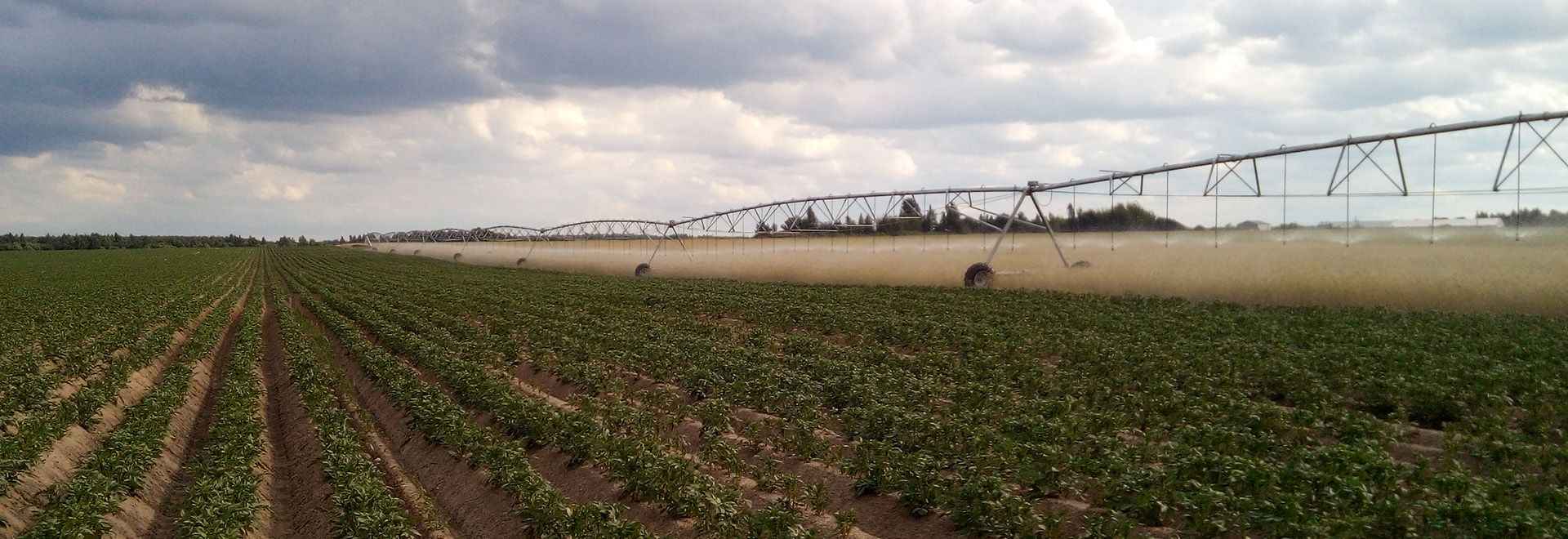 Дождевальные машины