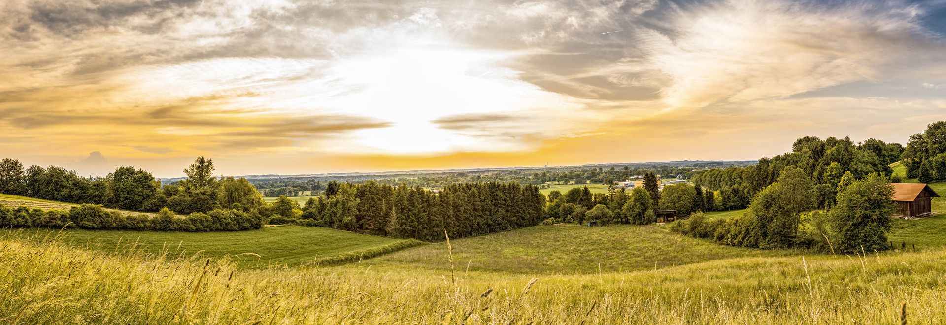 Российские импеллеры: точность изготовления и долгий срок службы