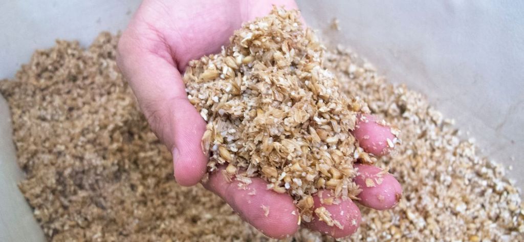 Что такое пивная дробина