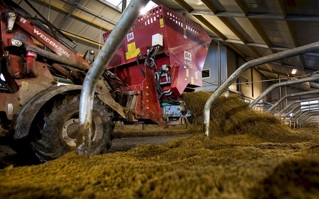 разбрасыватель подстилки в работе