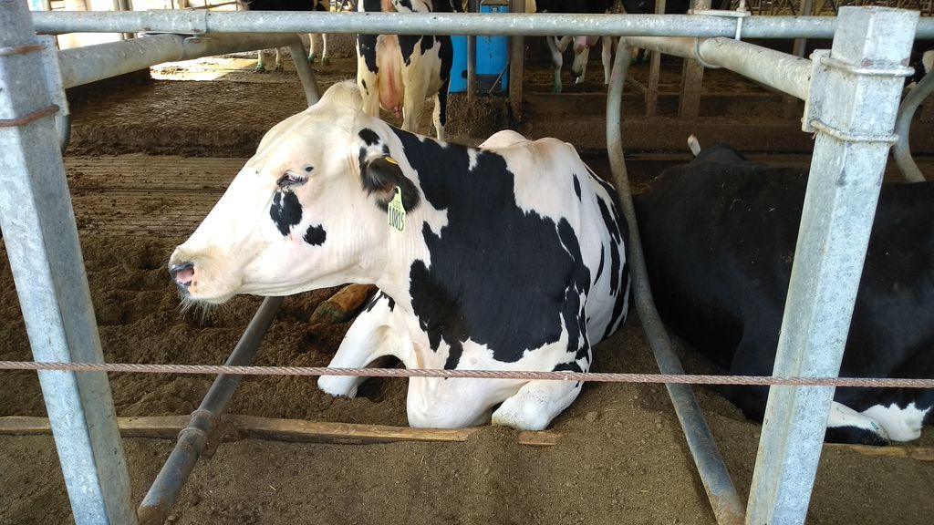 zapusk-bioreaktora-hbc-v-penzenskoj-oblasti_9