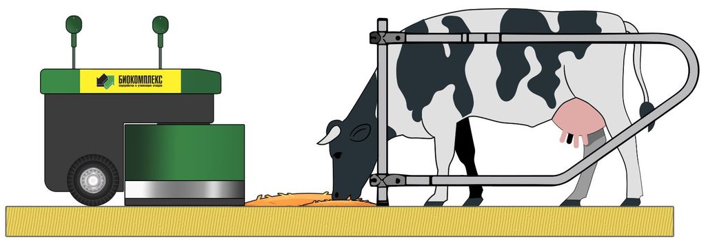 Коровник с роботом пододвигателем корма