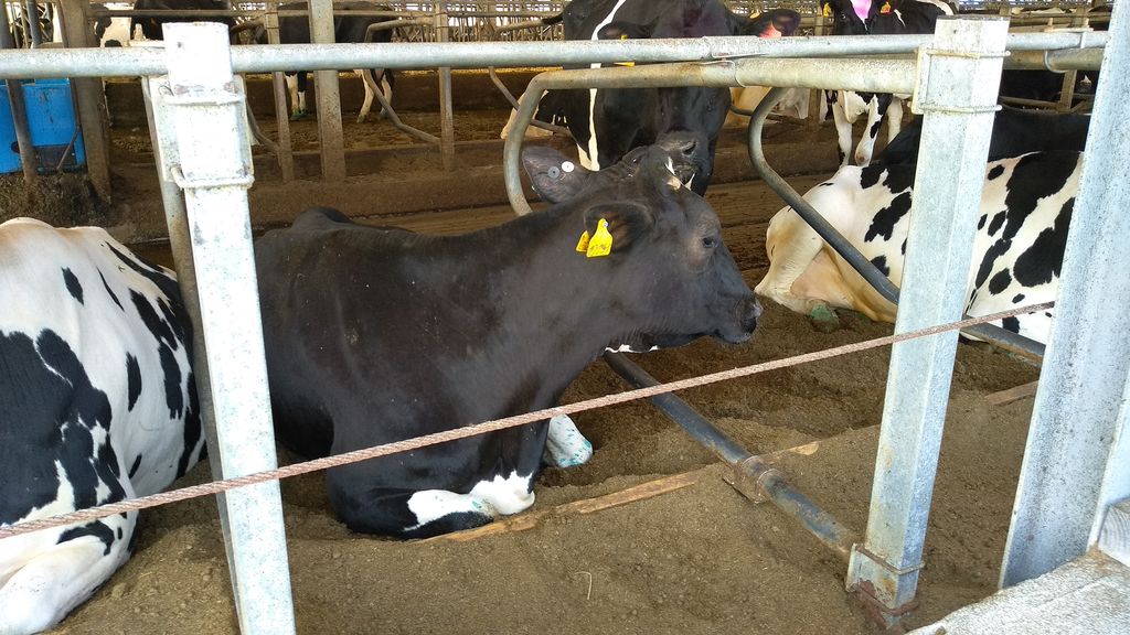 zapusk-bioreaktora-hbc-v-penzenskoj-oblasti_8