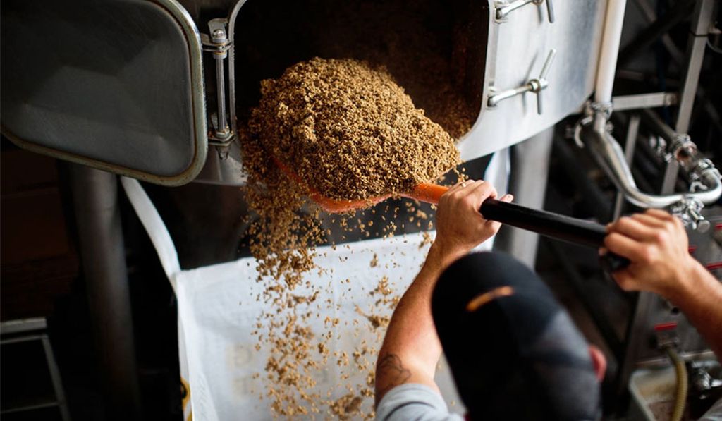 Преимущества переработки пивной дробины