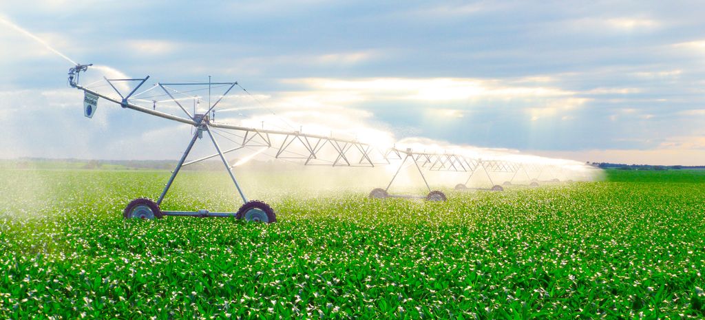 Полив полей дождевальной машиной Reinke