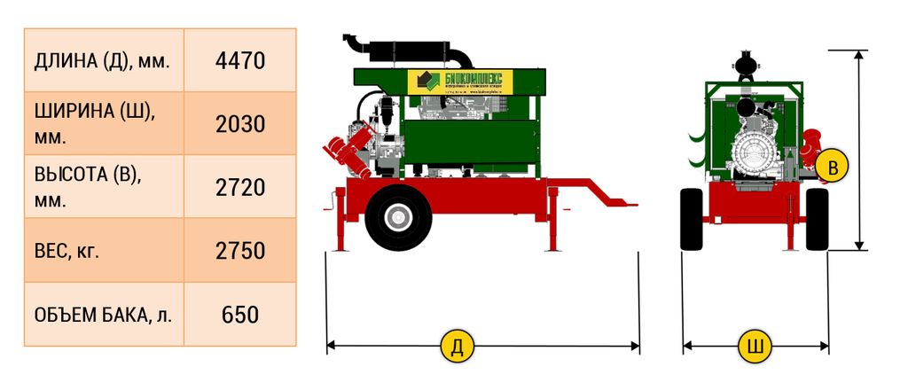 Размеры ДНС Зеленая