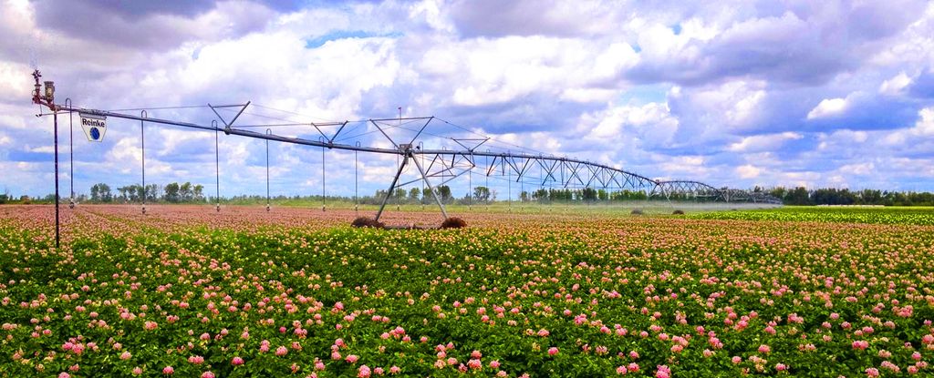Орошение полей дождевальной машиной Reinke