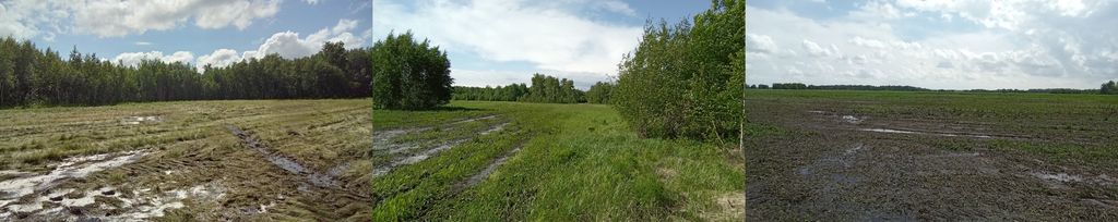 Полосоватости, неравномерное внесение, переливы